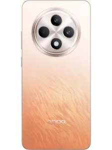 Oppo Reno 11 FS
